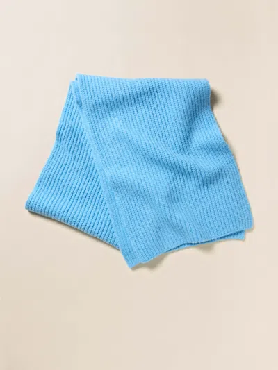 Faherty Alpine Cozy Scarf In Blue