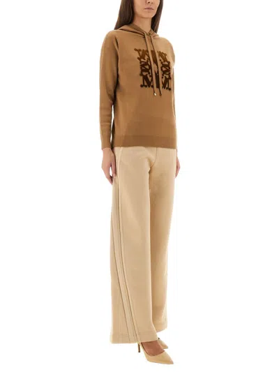 Max Mara "taddeus" Hooded Sweater In Brown