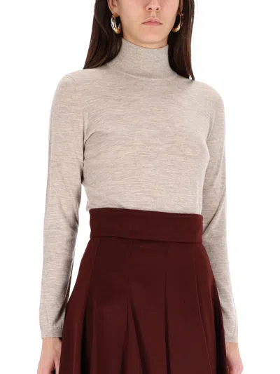 Max Mara Dpp - "meana" Turtleneck Sweater In Gray
