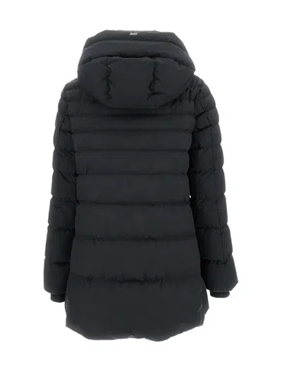 Herno Detachable-hood Padded Coat In Blue
