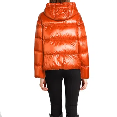 Herno Hooded Down Jacket In Orange