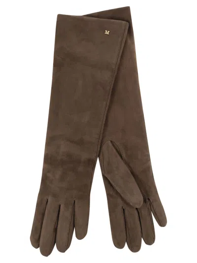 Max Mara Maxmara Afideesuede Long Suede Nappa Gloves In Brown
