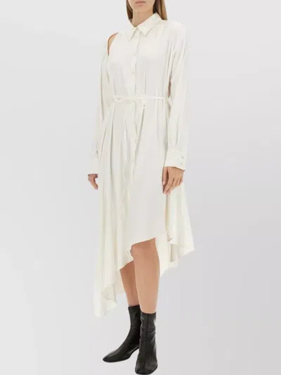 Acne Studios Asymmetric Hem Long Sleeve Dress In Animal Print