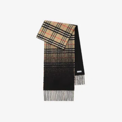 Burberry Gradient Check Cashmere Scarf In Multi