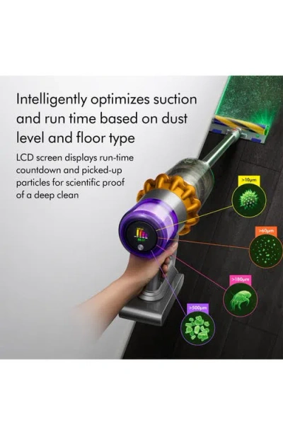 Dyson V15 Detect Pro Cordless Vacuum In Multi