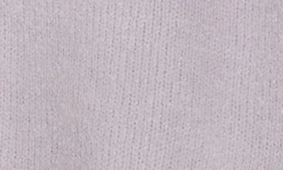 Rdi Ski Crewneck Sweater In Purple