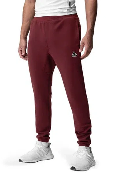 Asrv Dri-core Training Joggers In Burgundy