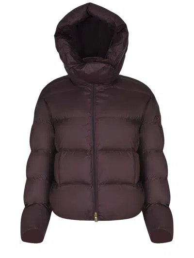 Pinko "giza" Jacket In Brown