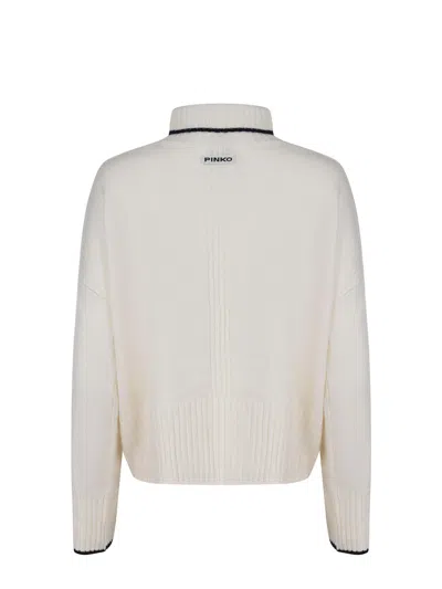 Pinko Falkland Pimped Neck Turtleneck Sweater In Multi