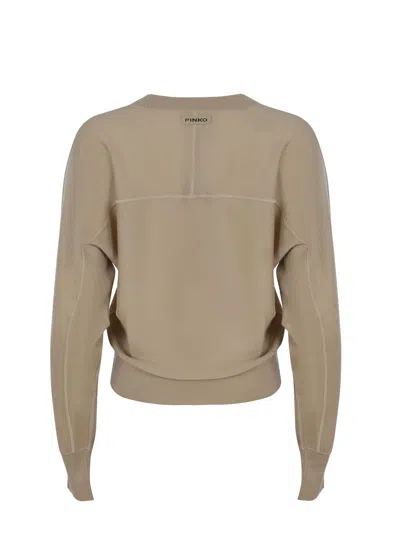Pinko "lanzarote" Sweater In Brown