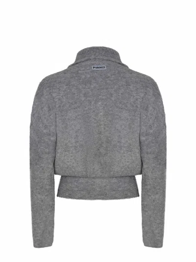 Pinko "dark Lady" Jacket In Gray