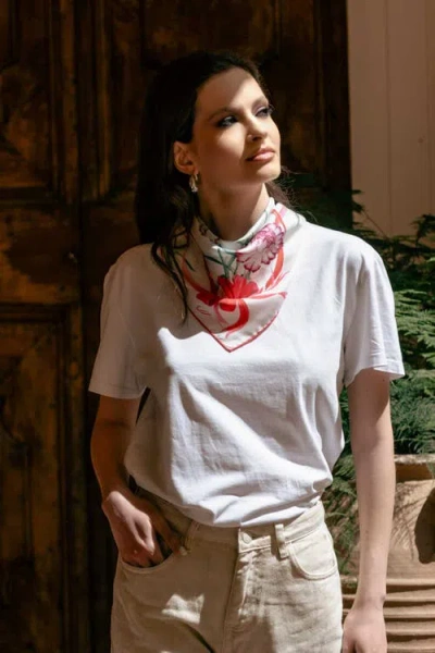 Elizabetta Dianthus In Multi