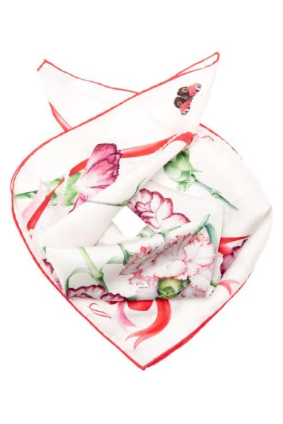 Elizabetta Dianthus In Multi