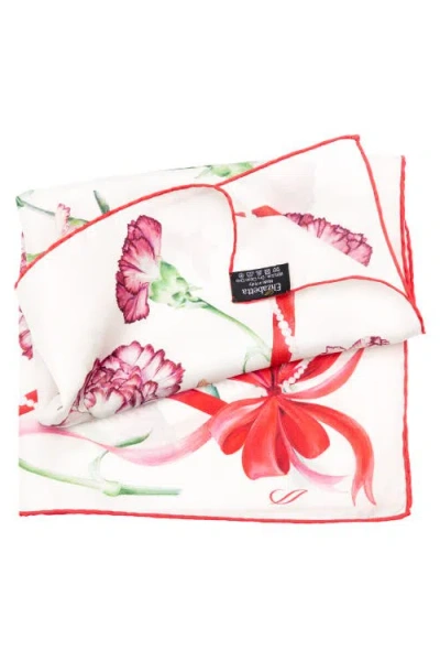 Elizabetta Dianthus In Multi