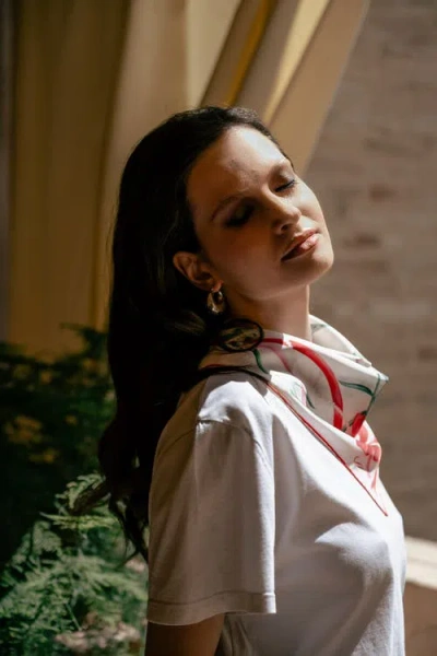 Elizabetta Dianthus In Multi