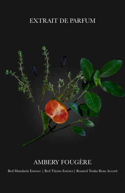 Parfums De Marly Carios Extrait De Parfum 3.38 Oz. In Transparent