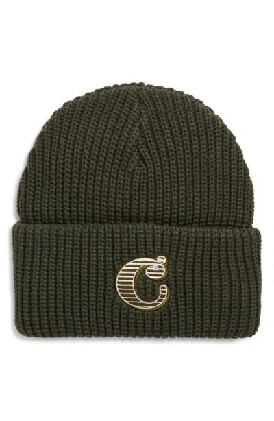 Carhartt Work In Progress Cold World Beanie In Green