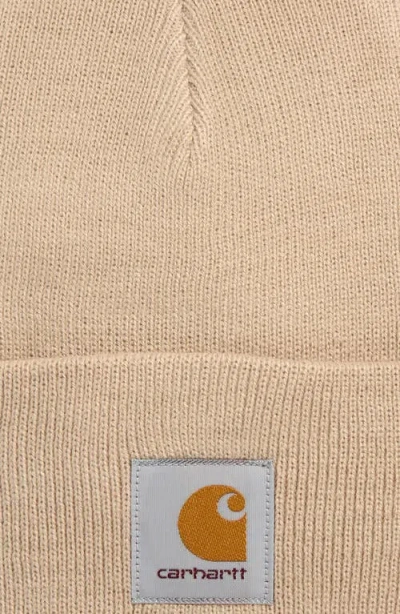 Carhartt Work In Progress Watch Beanie In Brown