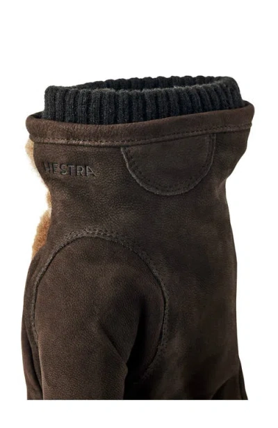 Hestra Noah Insulated Gloves In Brown