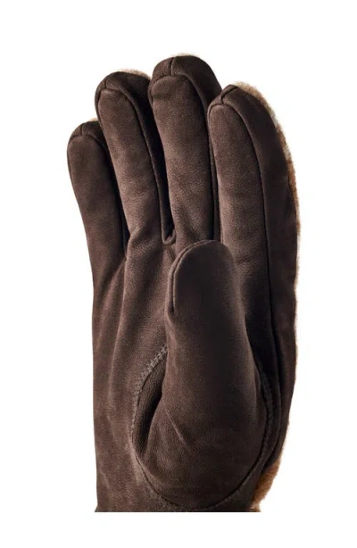 Hestra Noah Insulated Gloves In Brown