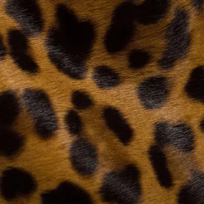 Miu Miu Calf Hair Pouch In Animal Print