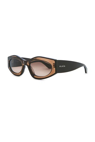 Alaïa Oval Sunglasses In Brown