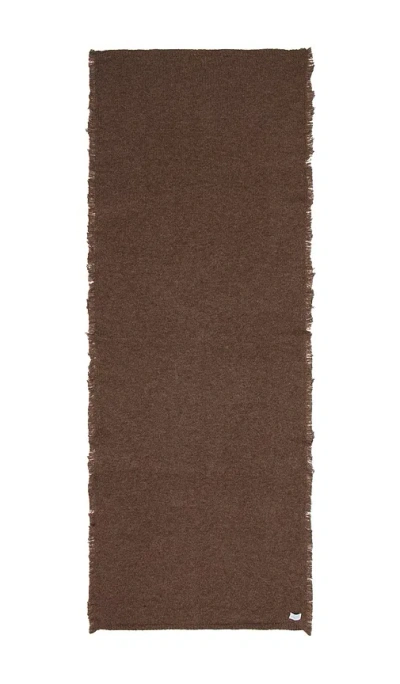 Janessa Leone Blanket Scarf In Brown