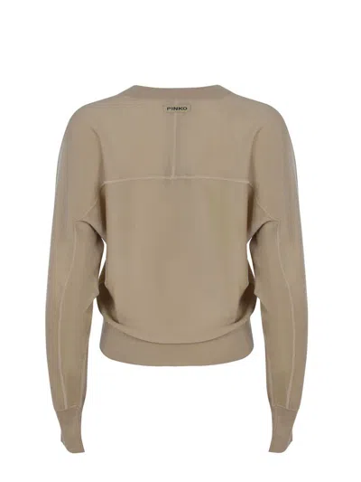 Pinko "lanzarote" Sweater In Brown
