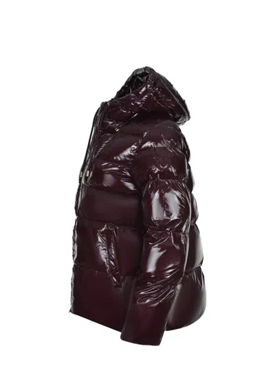 Pinko "eleodoro" Jacket In Purple