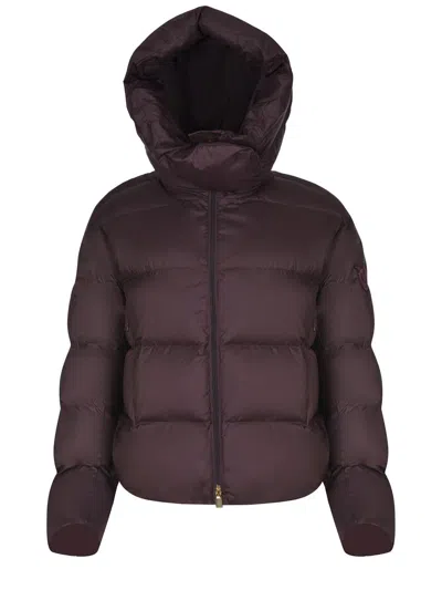 Pinko "giza" Jacket In Purple