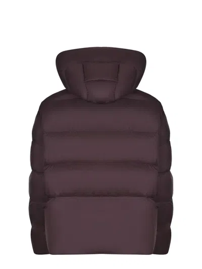 Pinko "giza" Jacket In Purple