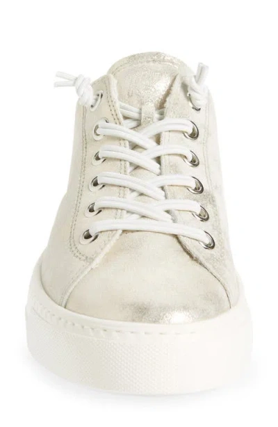 Paul Green Hadley Platform Sneaker In Neutral