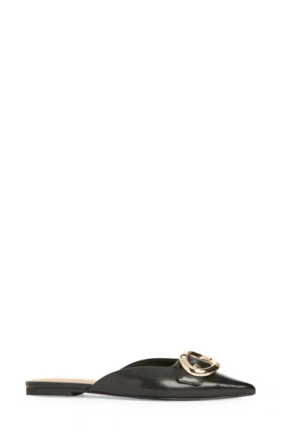 Steve Madden Ira Pointed Toe Mule In Black