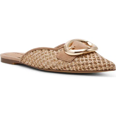 Steve Madden Ira Pointed Toe Mule In Brown