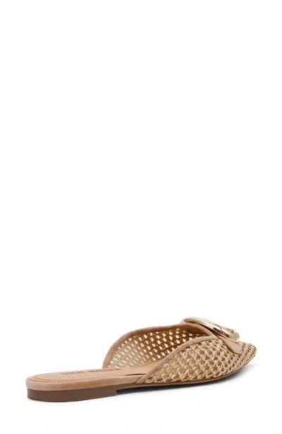 Steve Madden Ira Pointed Toe Mule In Brown