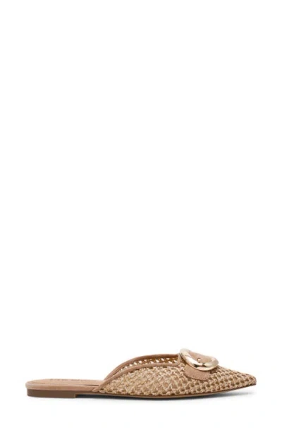 Steve Madden Ira Pointed Toe Mule In Brown