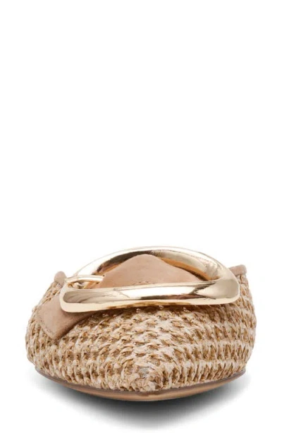 Steve Madden Ira Pointed Toe Mule In Brown