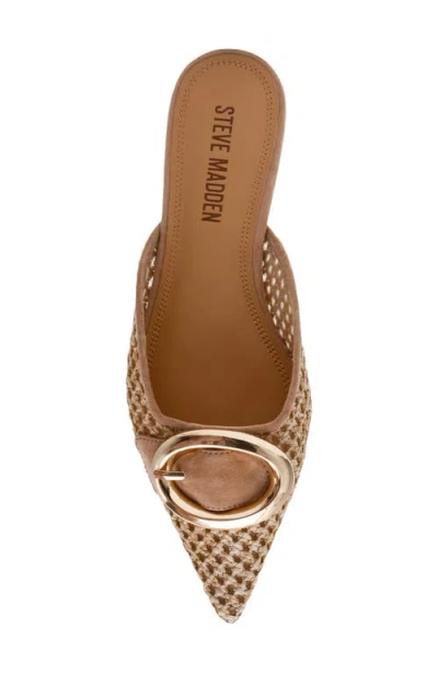 Steve Madden Ira Pointed Toe Mule In Brown