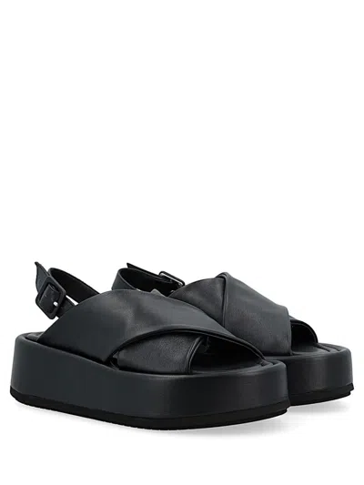 Paloma Barceló Woman Sandals Black Size 8 Calfskin In Black