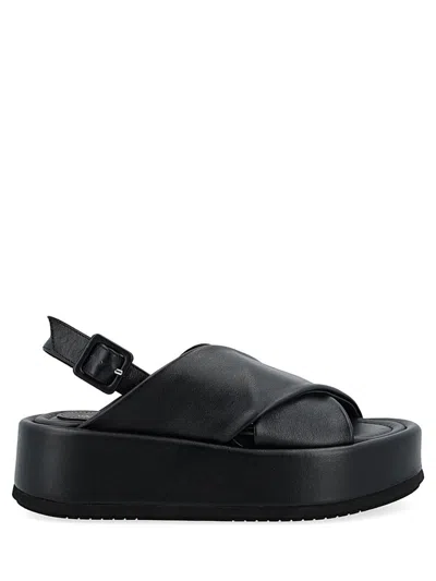 Paloma Barceló Woman Sandals Black Size 8 Calfskin In Black