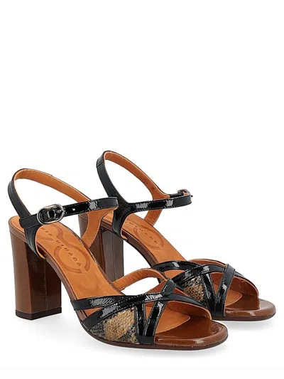 Chie Mihara Shoes In Black