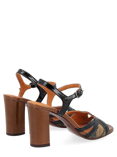 Chie Mihara Shoes In Black