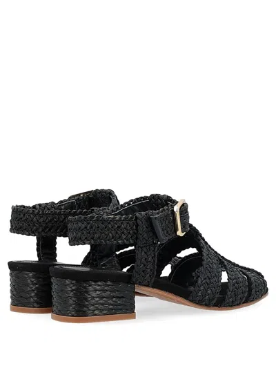 Paloma Barceló Woman Sandals Black Size 6 Natural Raffia In Black