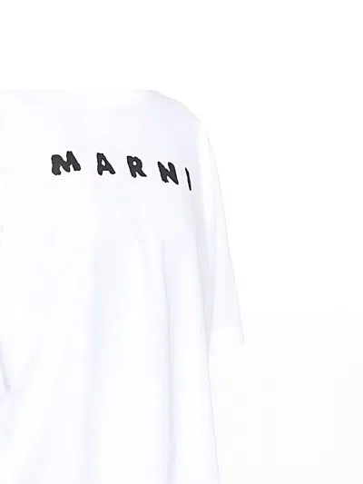 Marni Jersey Logo Short Sleeved T-shirt In White