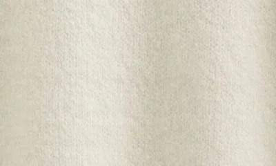 Tucker + Tate Kids' Fuzzy Icon Tunic Sweater In Neutral