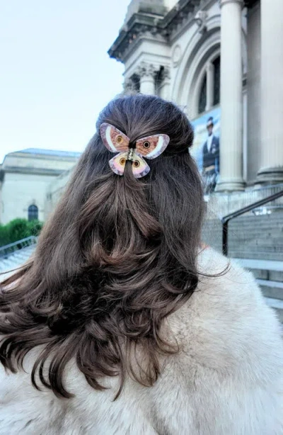 Solar Eclipse Hand Painted Emperor Silk Moth Claw Clip In Brown