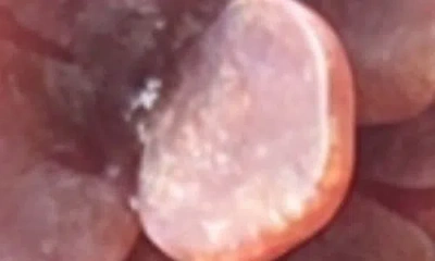 Solar Eclipse Origami Gardenia Claw Clip In Pink