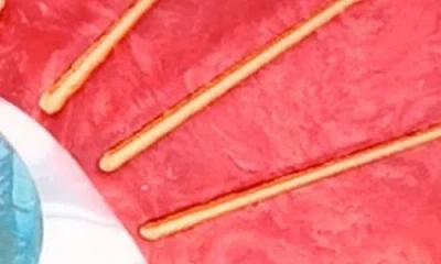 Solar Eclipse Hand Painted Lucky Eye Heart Claw Clip In Red