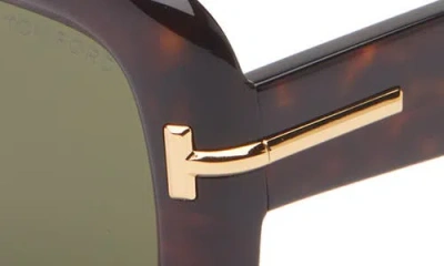 Tom Ford 53mm Square Sunglasses In Brown