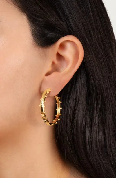 Anabel Aram Jewelry Medium Milos Hoop Earrings In Gold